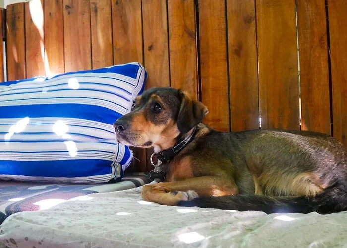 The Galley Party Хостел Шкодер